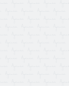 Купить DISCOUNT Дождевики 045#12,5 кг оптом в Орле и Орловской области