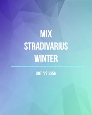 Купить STRADIVARIUS Winter mix#15 кг, ЛОТ №2256 оптом в Орле и Орловской области