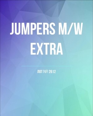 Купить Джемпер муж+жен экстра#15 кг , Лот№2612 оптом в Орле и Орловской области