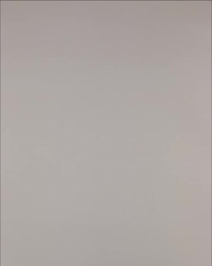 Фотография  904 - Нижнее белье Bon Prix дети#50 шт, ЛОТ №3242 оптом в Орле и Орловской области