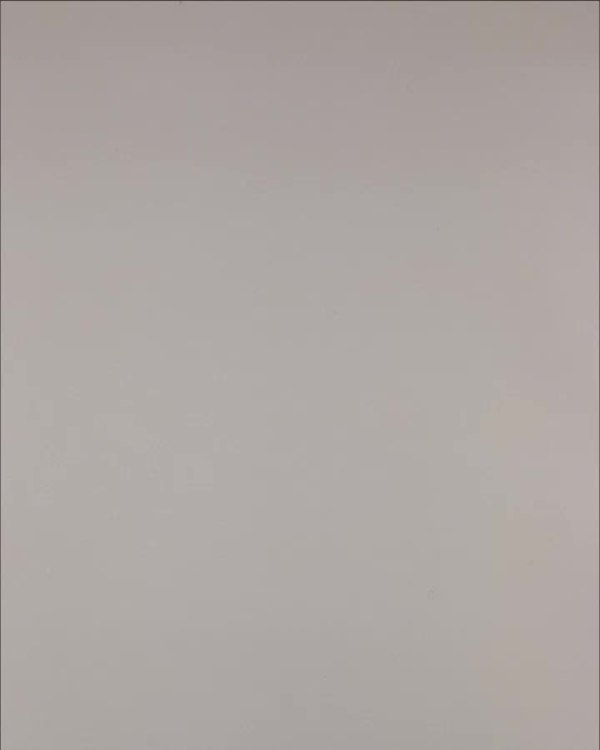 Фотография  127 - Нижнее белье Bon Prix дети#50 шт, ЛОТ №3242 оптом в Орле и Орловской области