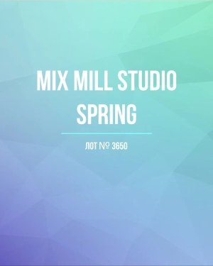 Купить MILL STUDIO Spring mix#15 кг, ЛОТ №3650 оптом в Орле и Орловской области
