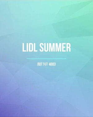 Купить LIDL Summer#20 кг, ЛОТ №4003 оптом в Орле и Орловской области