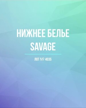 Купить Нижнее белье Savage, 50 шт, ЛОТ №4035 оптом в Орле и Орловской области