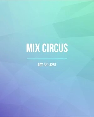 Купить CIRCUS mix #13 кг, ЛОТ №4257 оптом в Орле и Орловской области