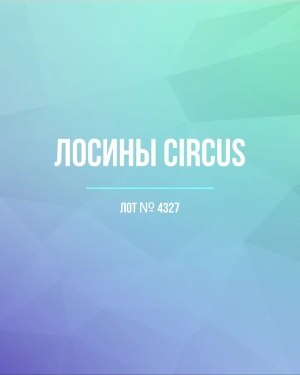Купить Лосины CIRCUS #6,2 кг, ЛОТ №4327 оптом в Орле и Орловской области