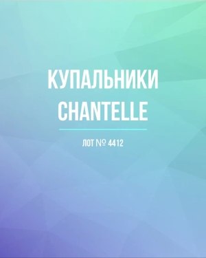 Купить Купальники Chantelle#23 шт, ЛОТ №4412 оптом в Орле и Орловской области