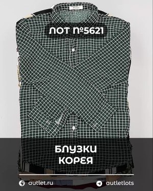 Купить Блузки Корея#20 шт, ЛОТ №5621 оптом в Орле и Орловской области