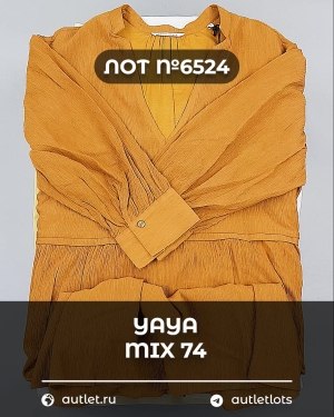 Купить YA YA 062024#39 шт, ЛОТ №6524 оптом в Орле и Орловской области