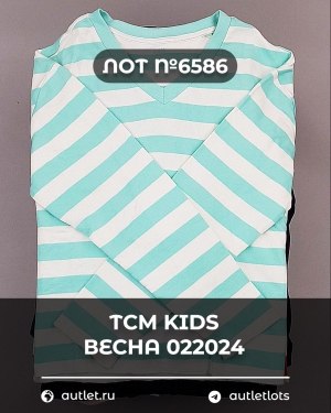 Купить TCM Kids весна 022024#7 кг, ЛОТ №6586 оптом в Орле и Орловской области