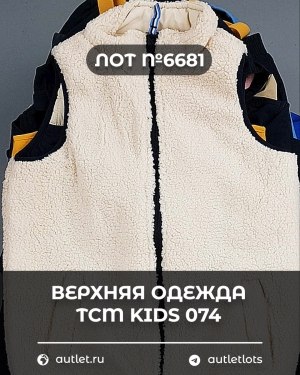 Купить Верхняя одежда TCM kids 074#7 кг, ЛОТ №6681 оптом в Орле и Орловской области