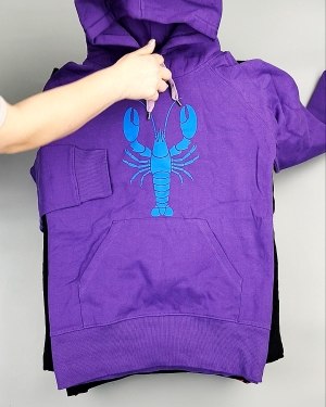 Фотография  719 - Толстовки м/ж (Sweat Tops)#20 кг, ЛОТ №7431 оптом в Орле и Орловской области