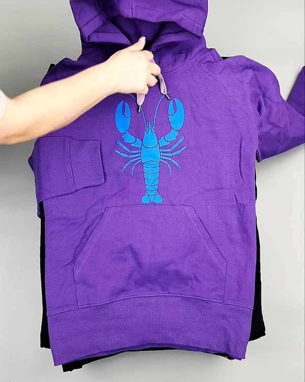 Фотография  689 - Толстовки м/ж (Sweat Tops)#20 кг, ЛОТ №7431 оптом в Орле и Орловской области