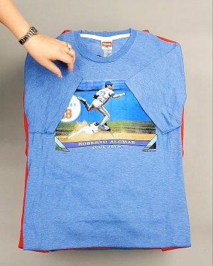 Фотография  880 - HOMAGE CAN 084#10 кг, ЛОТ №7499 оптом в Орле и Орловской области