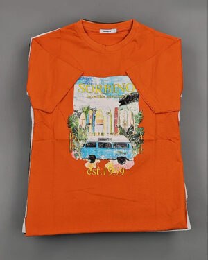 Купить Футболки мужские C-3141 (MEN T-shirt Sorbino) #4,8 кг оптом в Орле и Орловской области