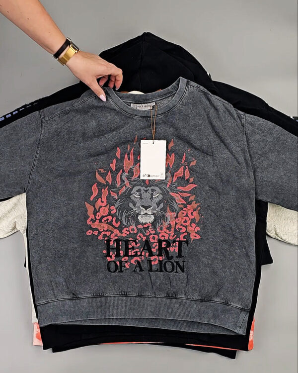 Фотография  735 - Толстовки Bestseller+DK 035#7 кг, ЛОТ СТ-9839 оптом в Орле и Орловской области