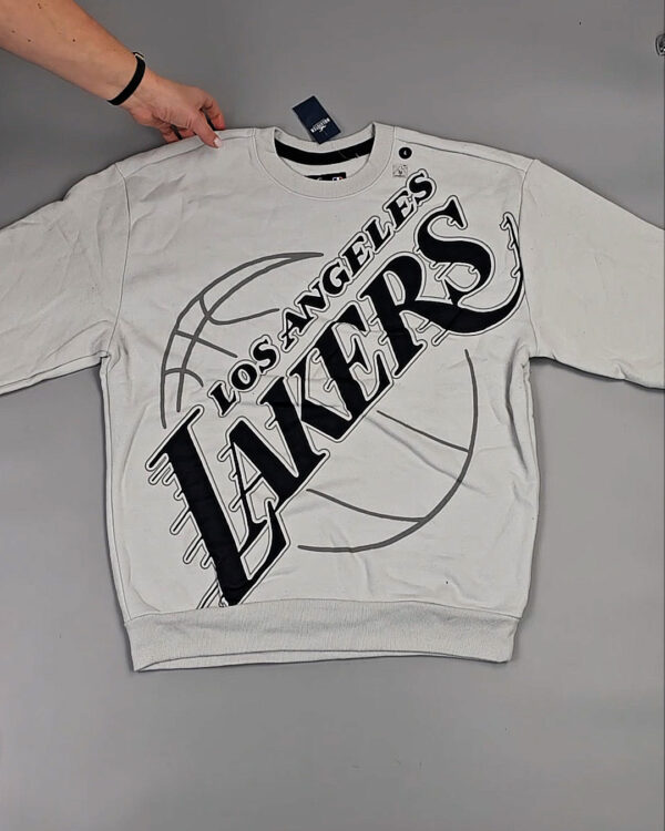 Фотография  597 - Толстовки муж HOLLISTER SW#10,1 кг, ЛОТ СТ-10110 оптом в Орле и Орловской области